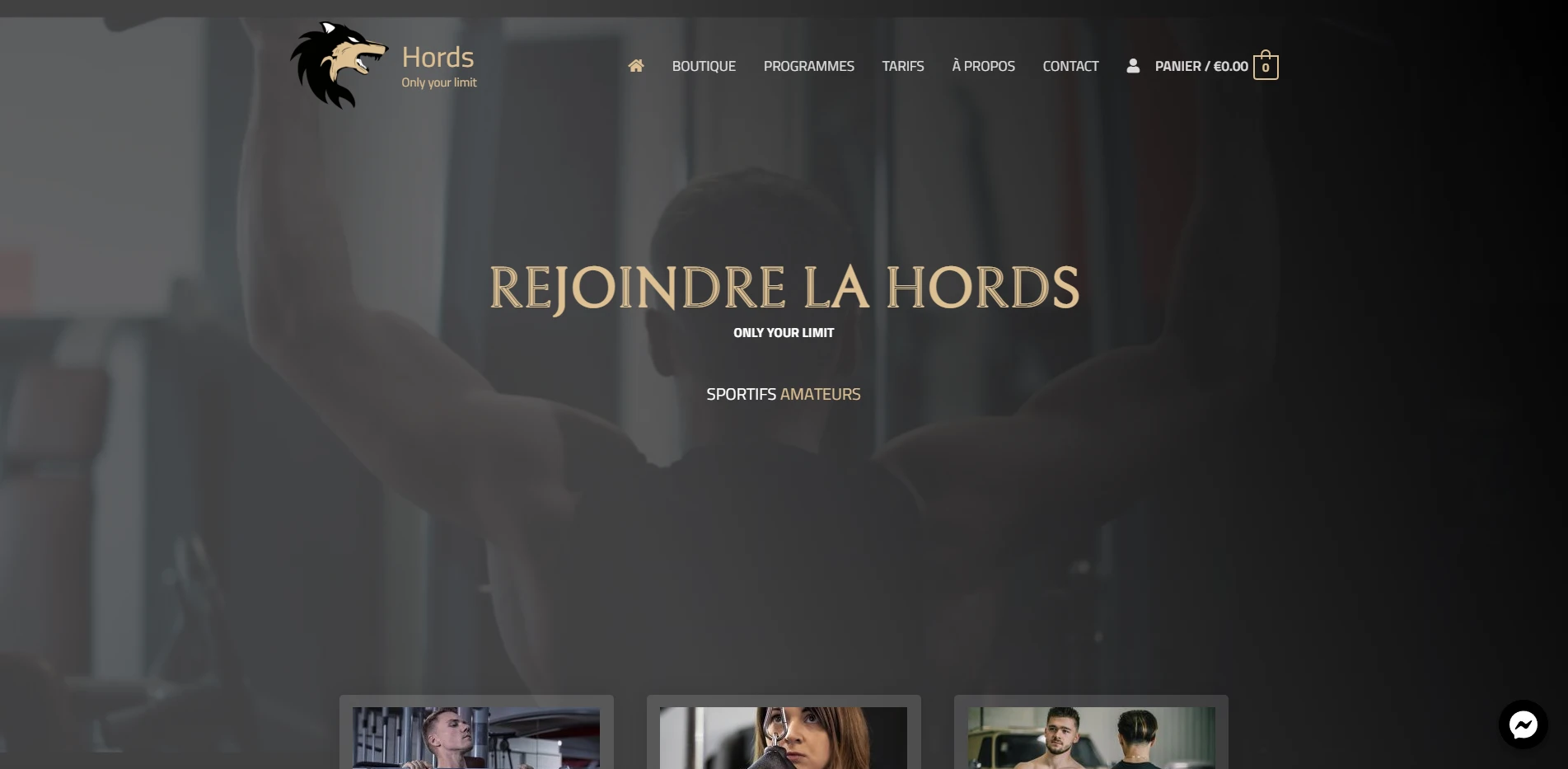 Illustration de la page d'accueil du site web hords.fr